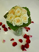 schenken1