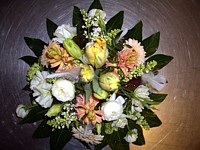 schenken2